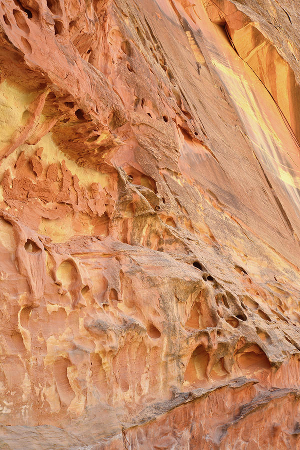 Capitol Gorge Wall Art #2 Photograph by Ray Mathis