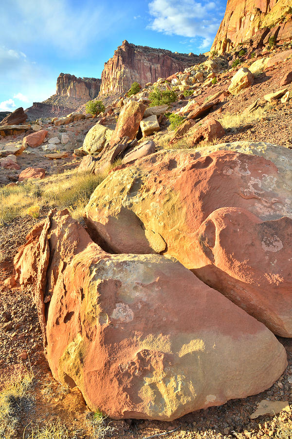 Capitol Reef Boulders #3 Photograph by Ray Mathis