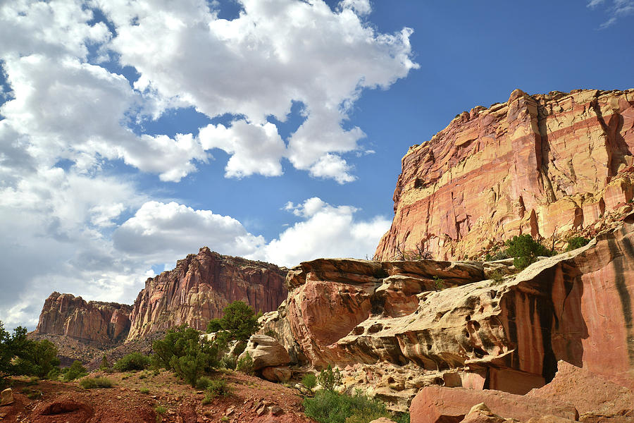 Capitol Reef National Park Photograph - Capitol Reefs Scenic Drive #1 by Ray Mathis