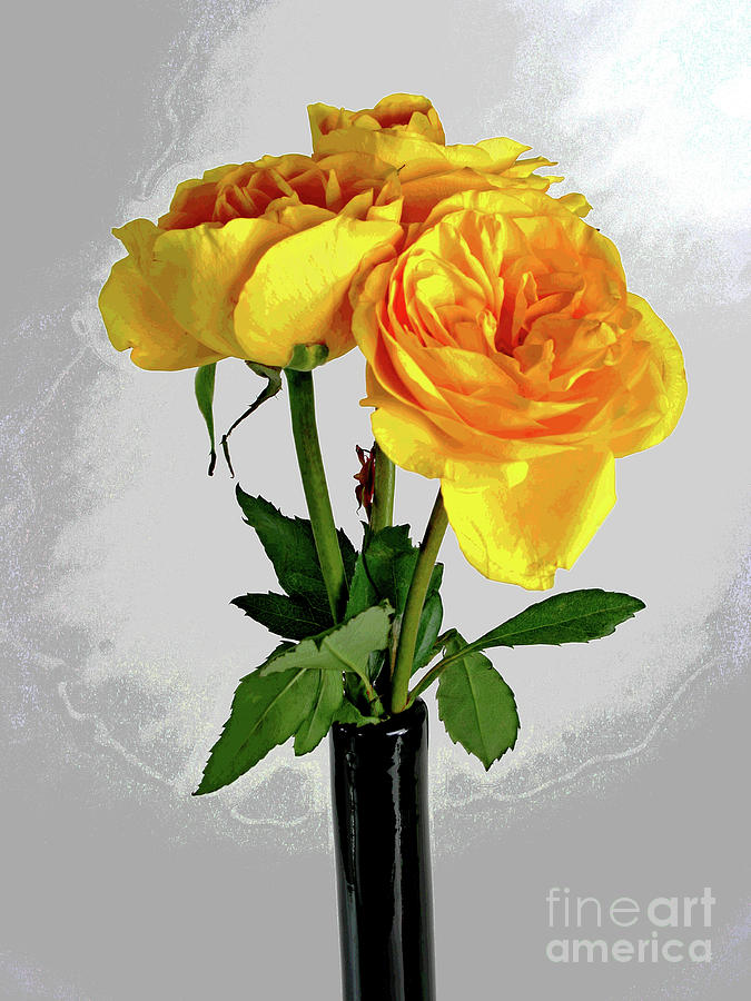 Captured Yellow Roses #1 Photograph by Larry Oskin