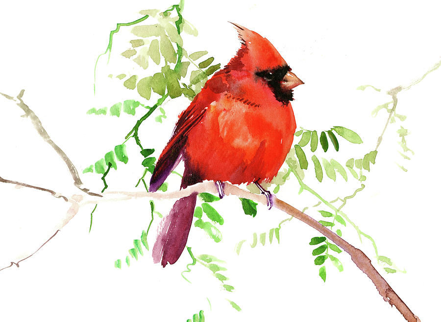 Christmas Painting - Cardinal Bird, Chrismtas Artwork #1 by Suren Nersisyan