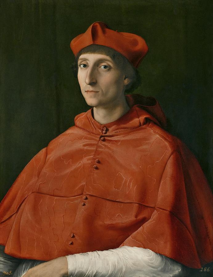 Cardinal, rafael #1 Painting by MotionAge Designs