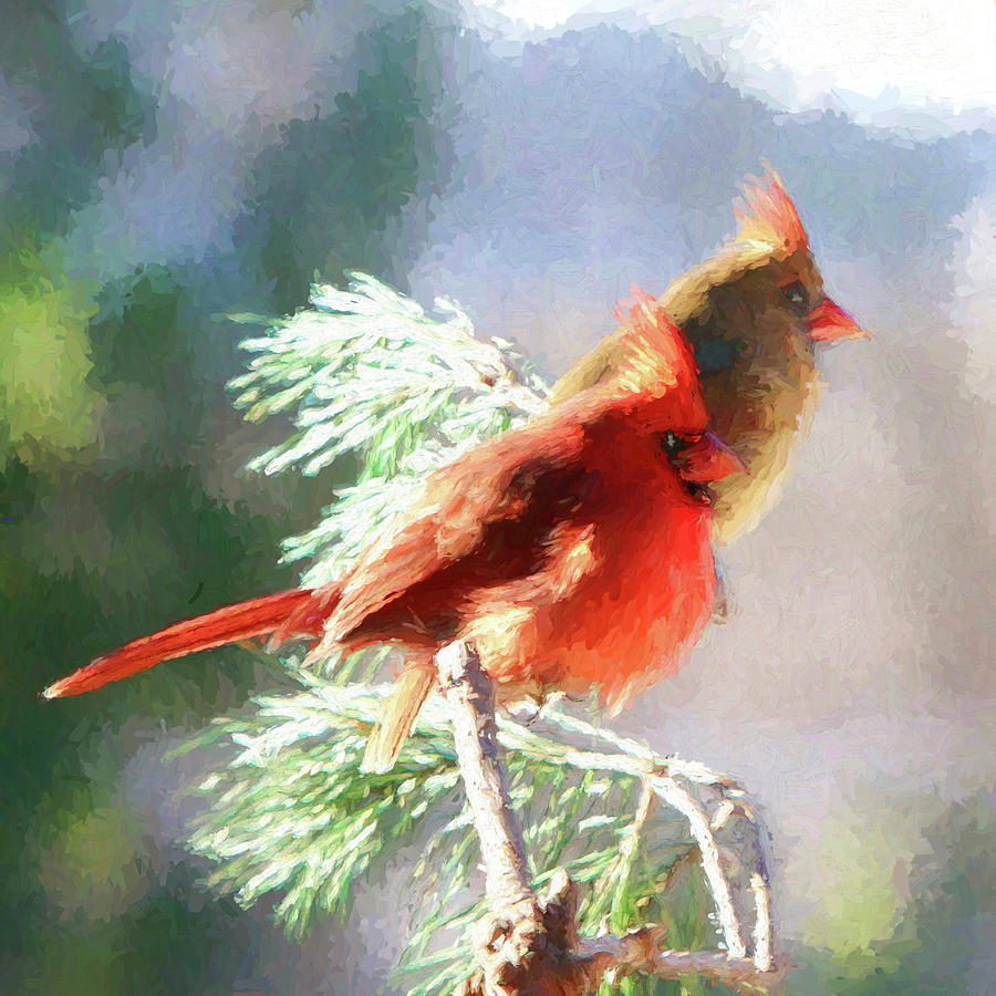 Cardinals #1 Photograph by John Freidenberg