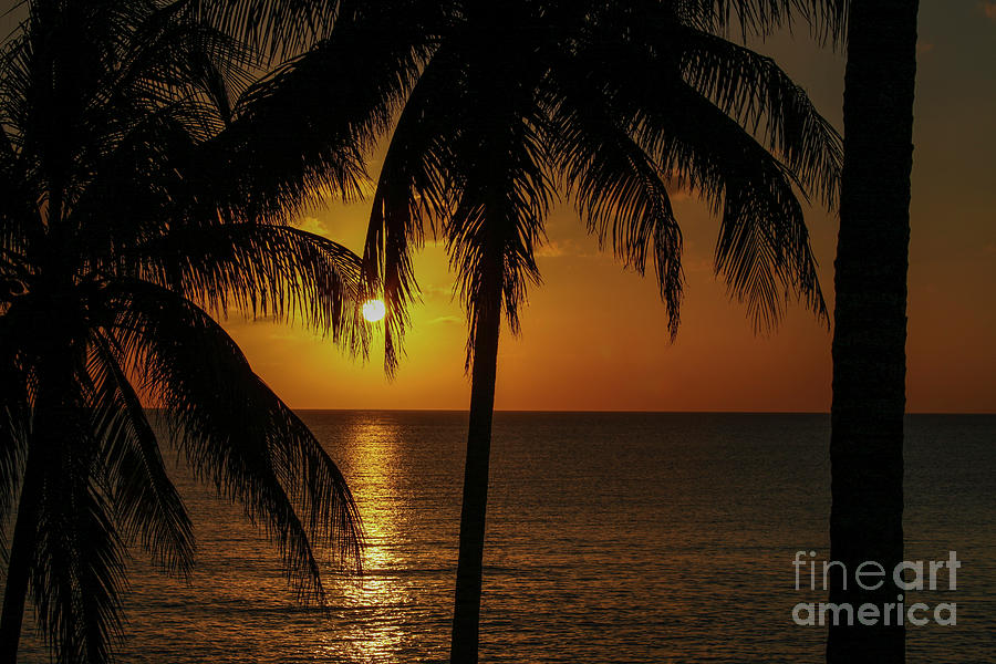Sunset in the Caribbean Photograph by Patricia Hofmeester