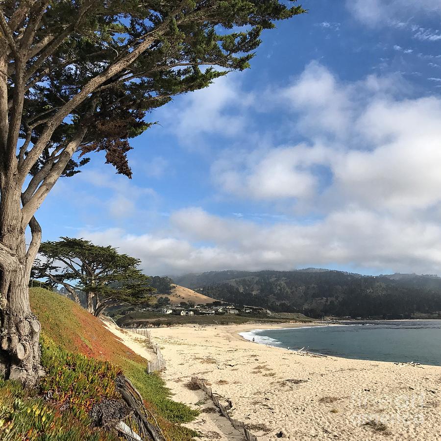 Carmel River Beach by Charlene Mitchell Carmel River Beach by Charlene Mitchell