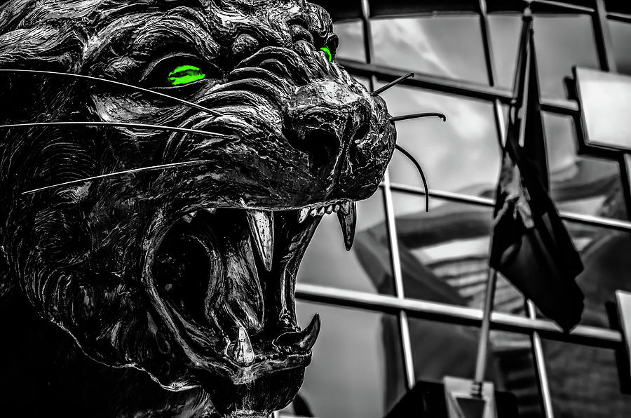 Carolina Panthers Mascot Statue With Green Eyes #1 Photograph by Alex Grichenko
