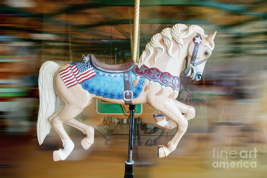 Carousel Horse #2 Photograph by David Arment