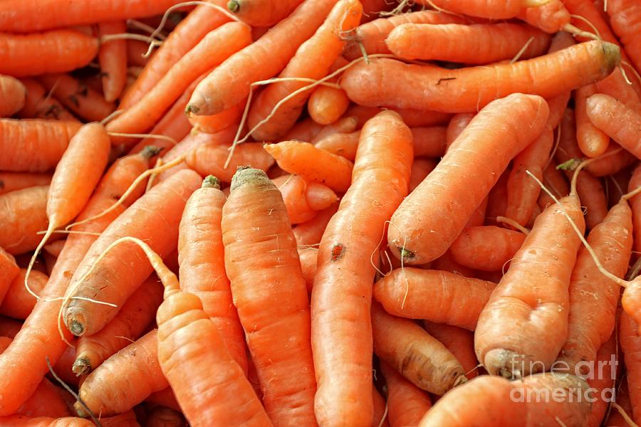 Carrots #1 Photograph by Henrik Lehnerer