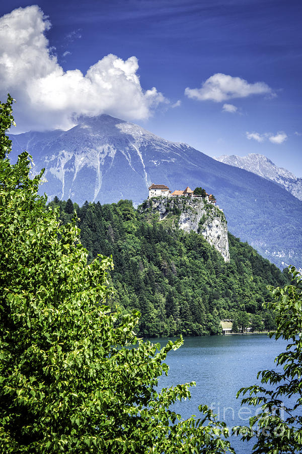 Castle At Lake Bled #3 Photograph by Timothy Hacker