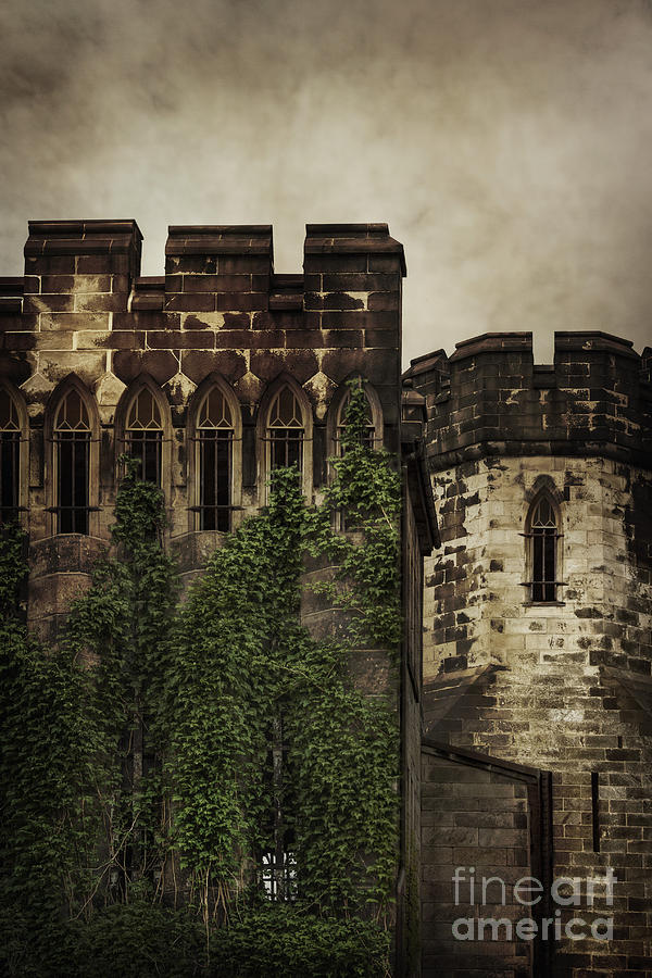 Castle #1 Photograph by Margie Hurwich