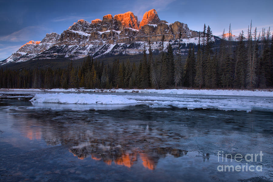 Castle Mountain Icy Pink Reflections #1 Photograph by Adam Jewell