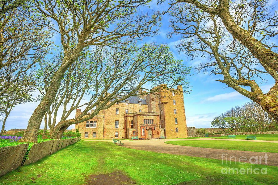 Castle of Mey forest #1 Photograph by Benny Marty