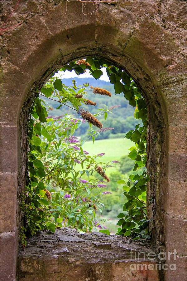 Castle Window #3 Photograph by SnapHound Photography