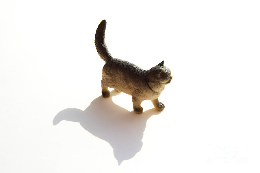 Animal Photograph - Cat figurine #1 by Bernard Jaubert