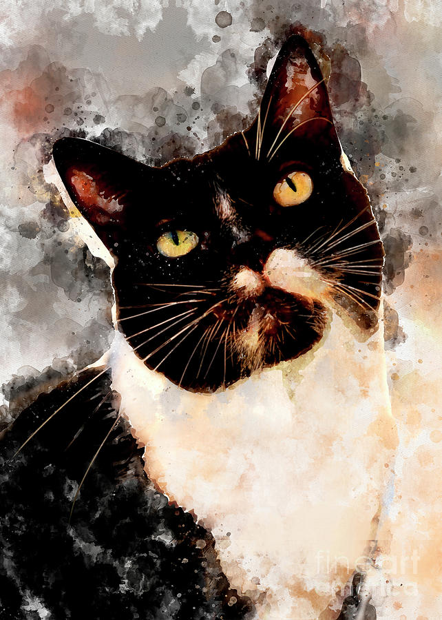 Cat Jagoda art #1 Digital Art by Justyna Jaszke JBJart