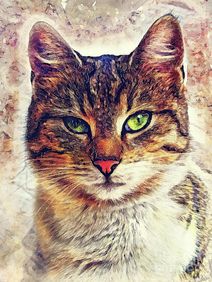 Cat Saba #1 Digital Art by Justyna Jaszke JBJart