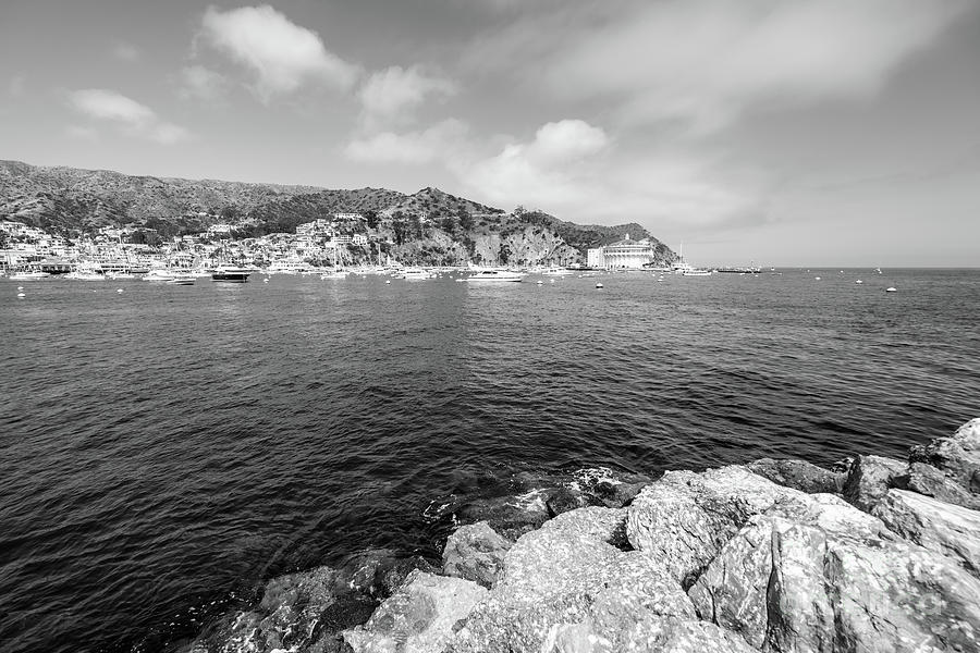 Catalina Island Avalon Harbor Black and White Photo #1 Photograph by Paul Velgos