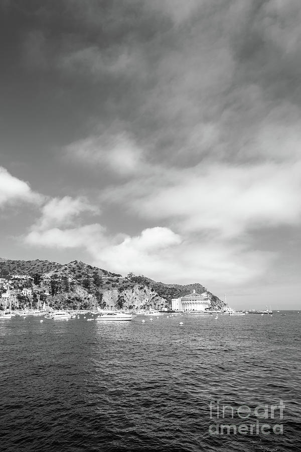 Catalina Island Black and White Photo #1 Photograph by Paul Velgos