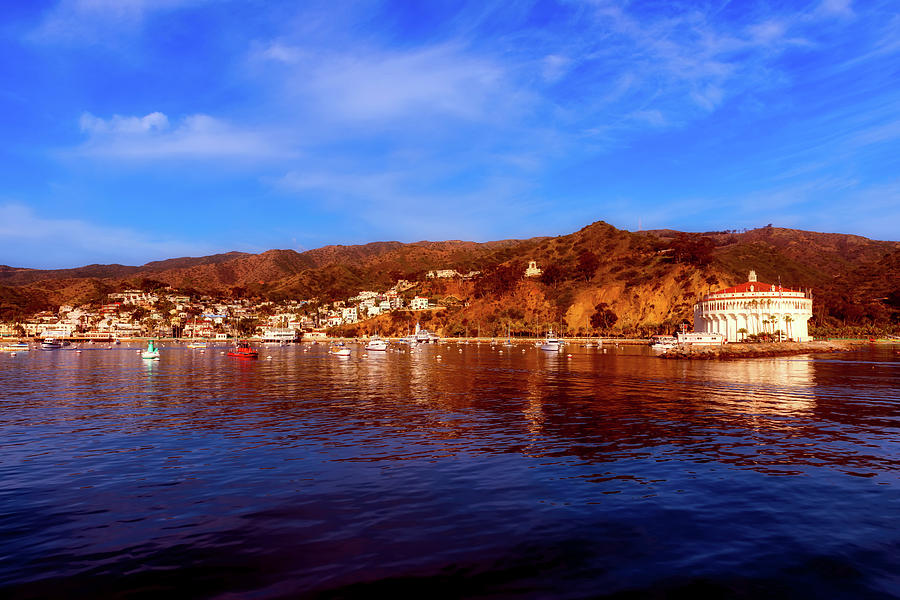 Boat Photograph - Catalina Island #1 by Mountain Dreams