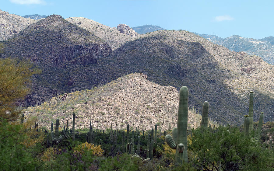Catalina Mountains #1 Photograph by Tam Ryan