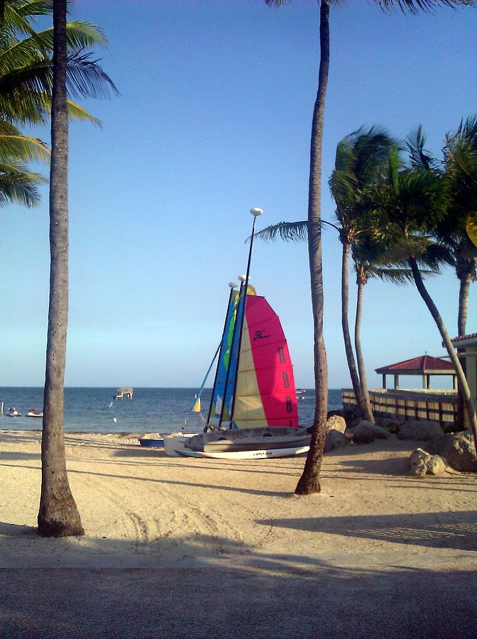 catamaran rides key west