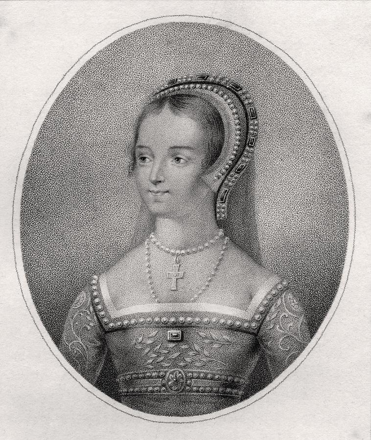 Catherine Parr Also Spelled Katherine Drawing by Vintage Design Pics ...