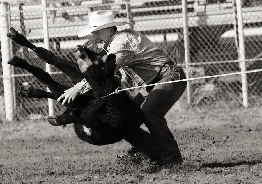 Cattle Roping Photograph by Tucker Photography - Fine Art America