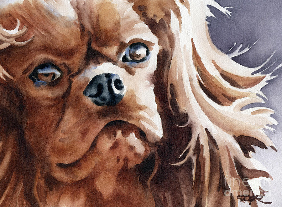 Dog Painting - Cavalier King Charles Spaniel  #3 by David Rogers