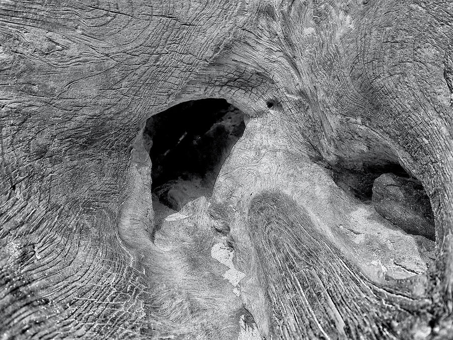 Cave In Disguise II Photograph by Kathi Mirto