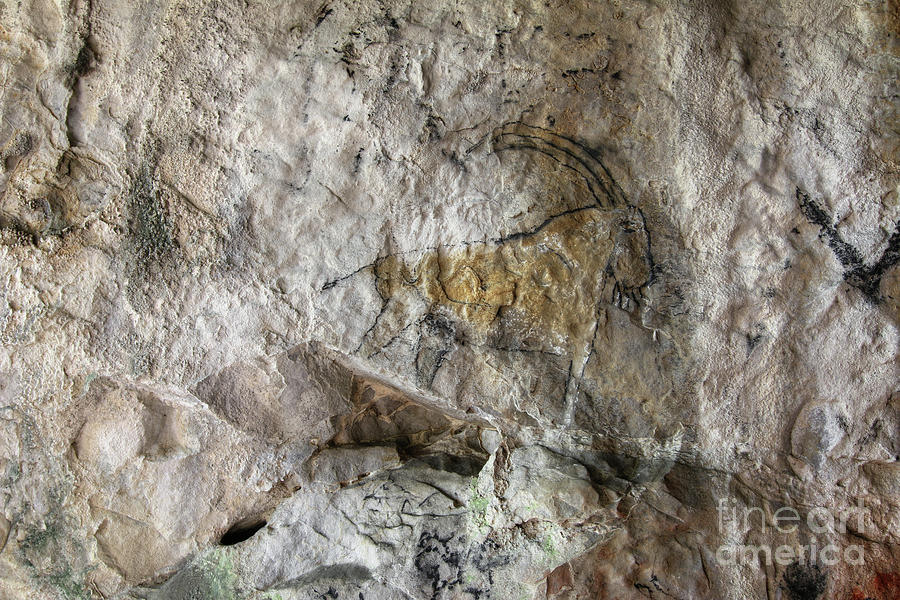 Cave painting in prehistoric style #1 Photograph by Michal Boubin