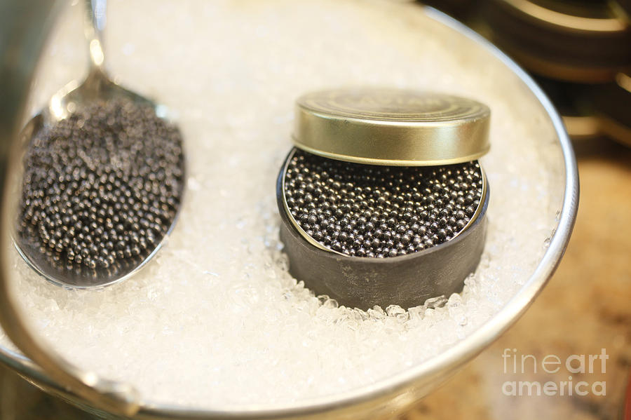 Caviar #1 Photograph by Godong