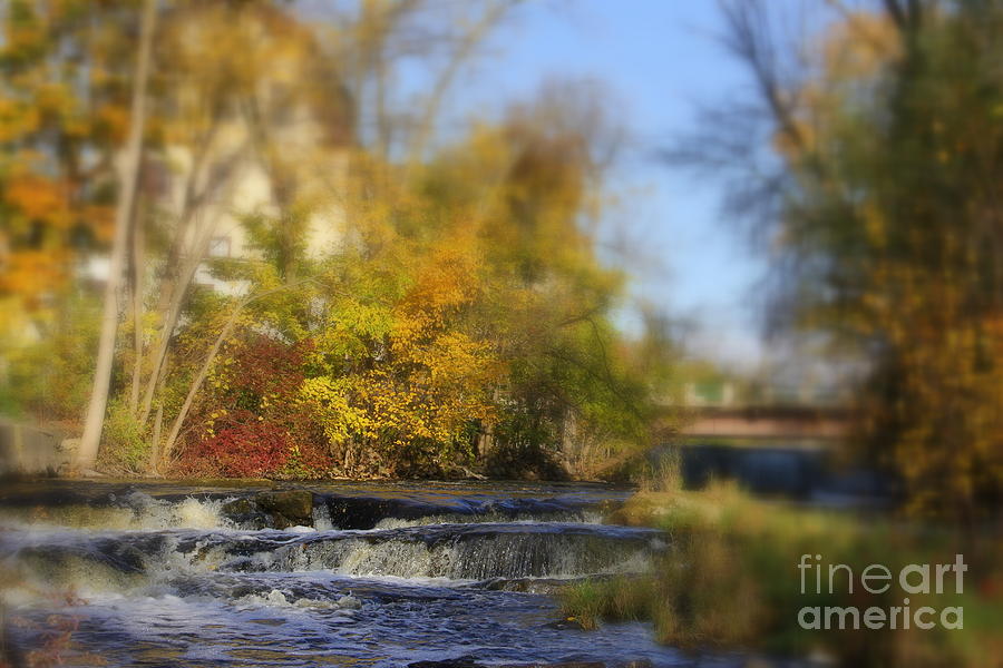 Fall Photograph - Cedar Creek #1 by Carol Komassa