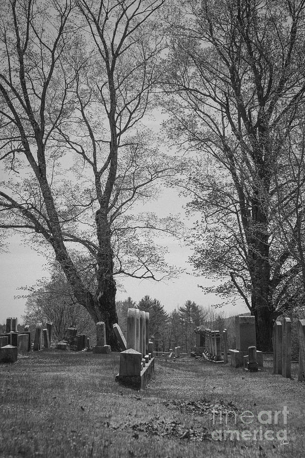 Cemetery #2 Photograph by Alana Ranney