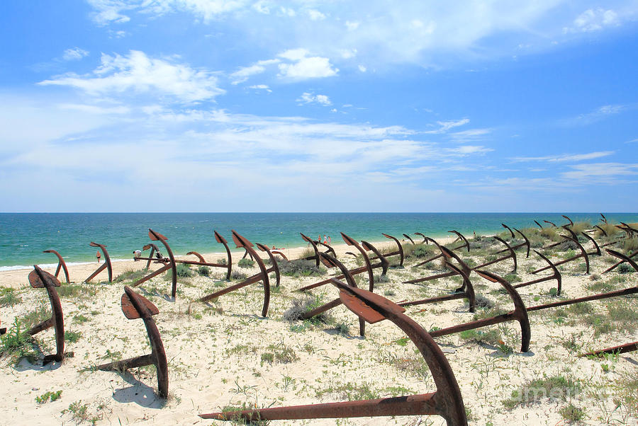 Beach Photograph - Cemetery Of Anchors #1 by Carl Whitfield
