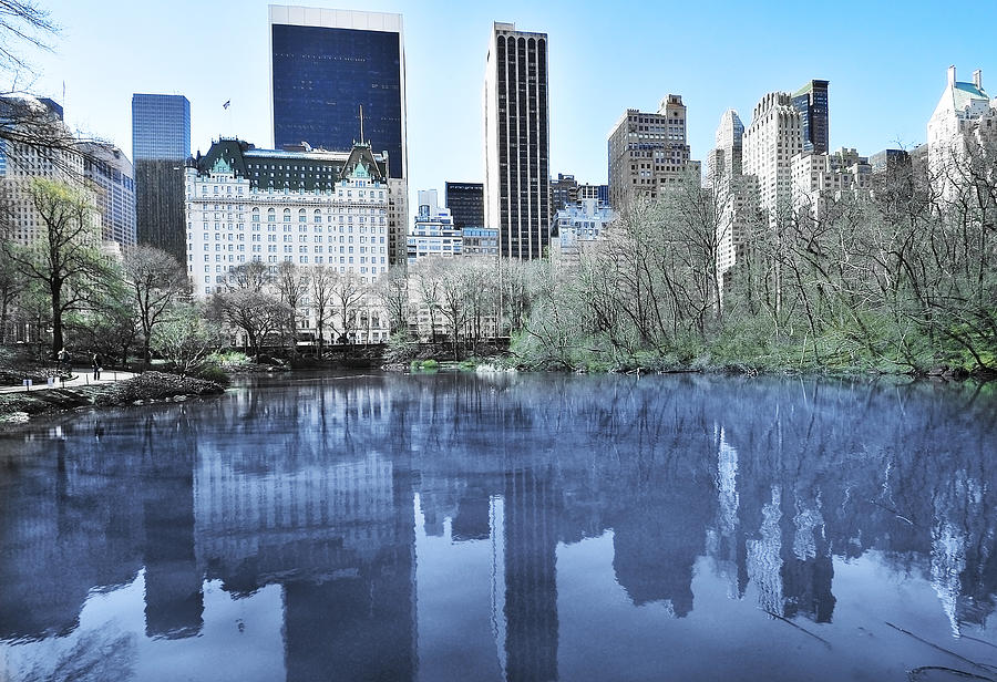 Central Park In New York City Photograph