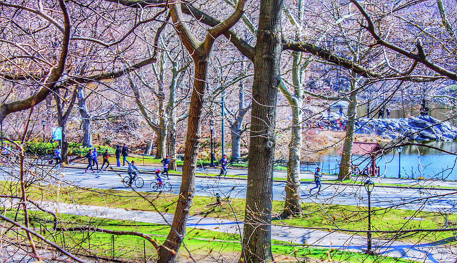 Central Park New York #1 Photograph by Bill Rogers