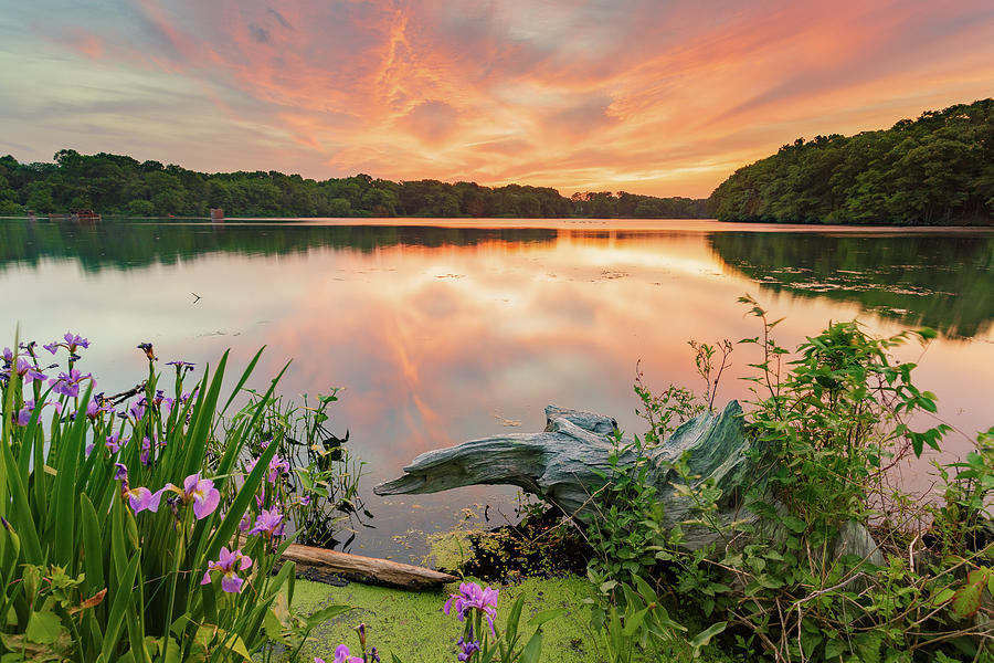 Central Pond Sunset #1 Photograph by Bryan Bzdula