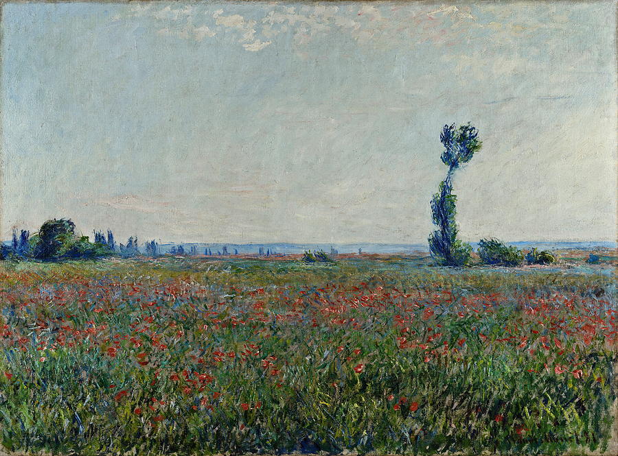 Champ De Coquelicots 1881 Painting by Claude Monet - Pixels