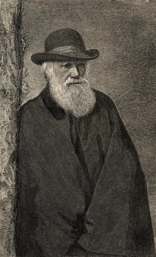 Black And White Drawing - Charles Darwin,1809  1882. British #1 by Vintage Design Pics