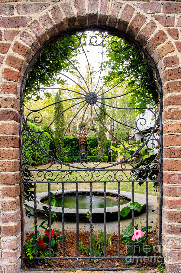 Charleston Gated Garden #1 Photograph by Dawna Moore Photography