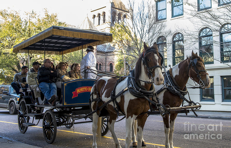 Charleston Horse Carriage Tour #1 Photograph by David Oppenheimer