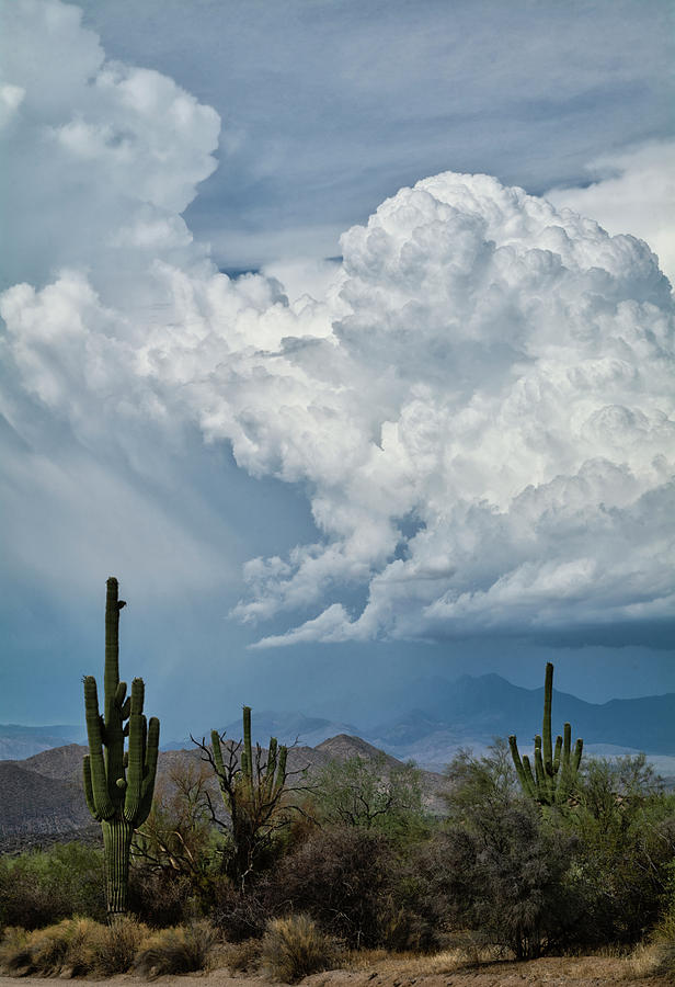Chasing Clouds in the Sonoran  #1 Photograph by Saija Lehtonen