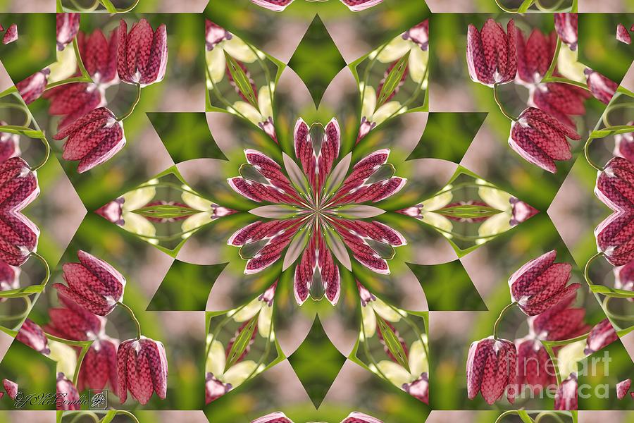 Checkered Lilies Mandala #4 Digital Art by J McCombie