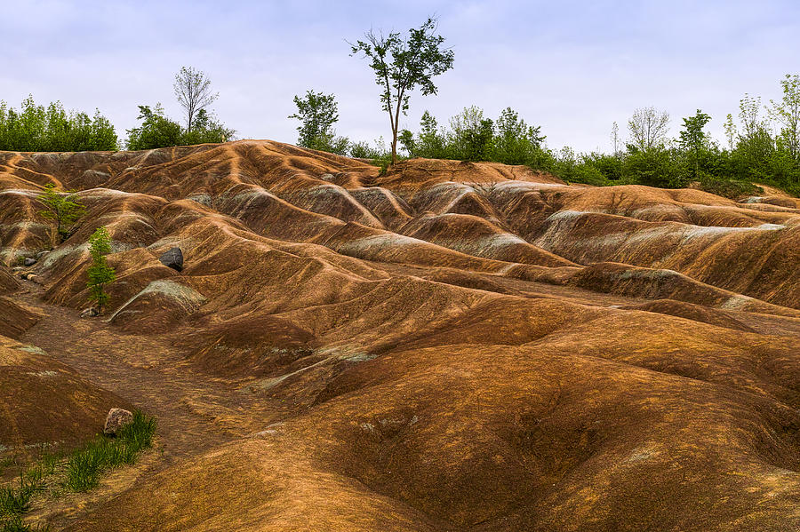 Nature Photograph - Cheltenham Badlands In Caledon #1 by Panoramic Images