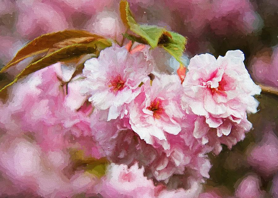 Cherry Blossom #1 Digital Art by Charmaine Zoe
