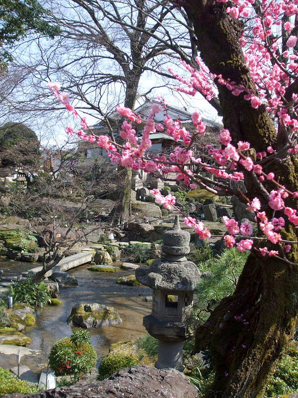 Cherry Blossom Kyoto Japan #2 Photograph by Mackenzie Moulton