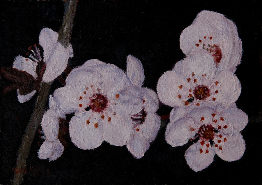 Nature Painting - Cherry Blossom #1 by Masami Iida
