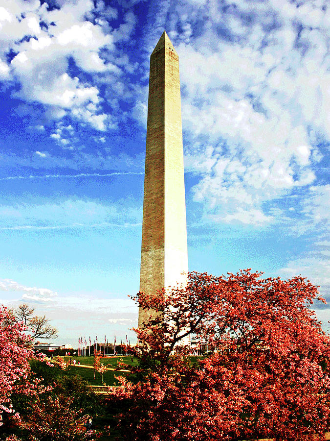 Cherry Blossoms at the Washington Monument #1 Photograph by Larry Oskin
