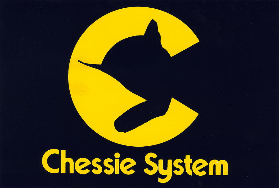 Chessie System Drawing By The Baltimore And Ohio Railroad Pixels