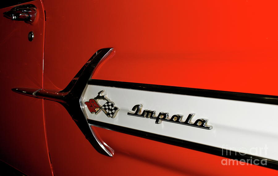 Chevy Impala Photograph by Pamela Walrath